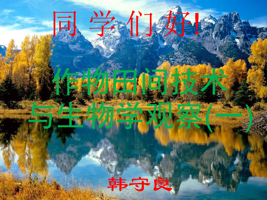 第四讲玉米的一生与结实器官.ppt_第1页