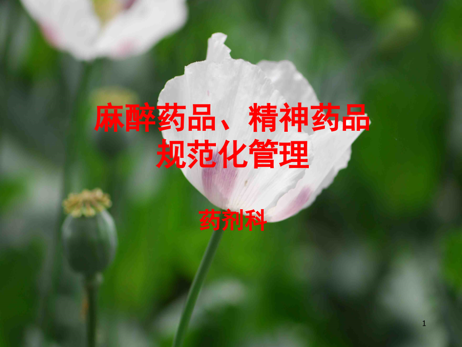 麻醉药品精神药品培训.ppt_第1页