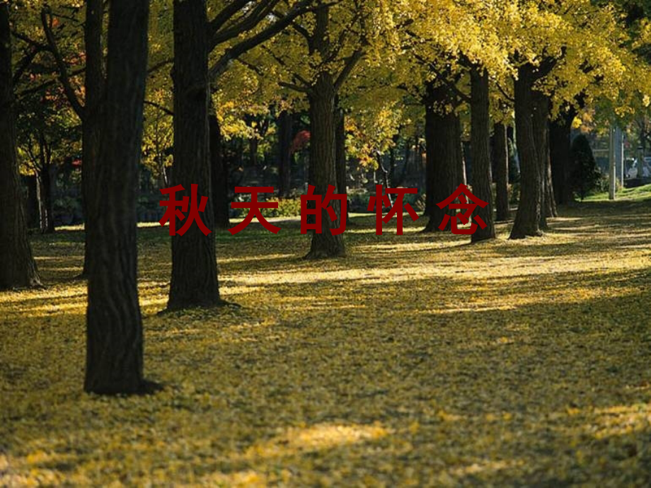 秋天的怀念(优秀课件).ppt_第1页