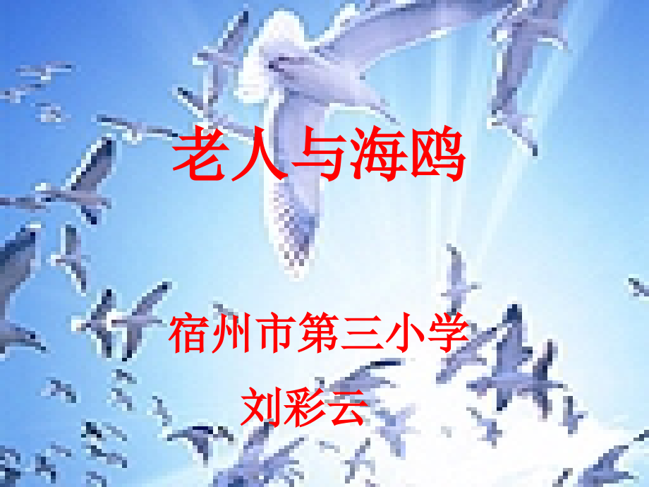 老人与海鸥-(2).ppt_第1页