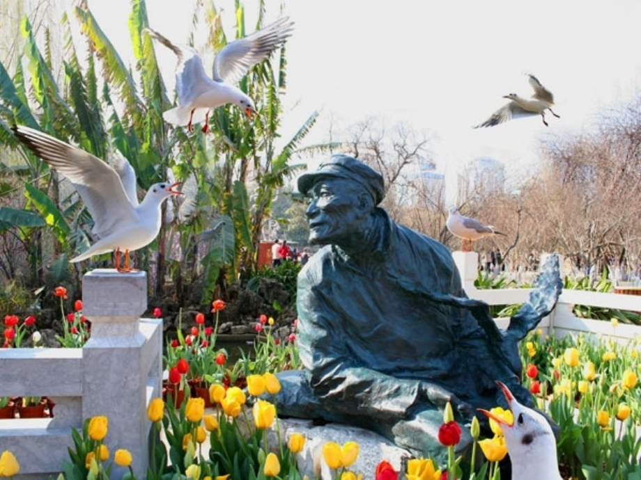 老人与海鸥-(2).ppt_第2页