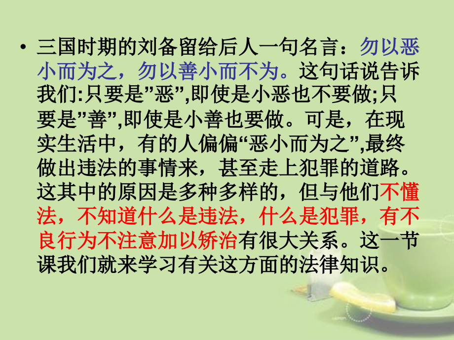 福建省厦门市洪塘中学七年级政治下册《第八单元-法不可违》复习课件-新人教版.ppt_第2页