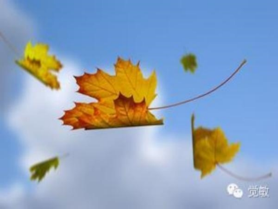 部编教材秋天PPT.pptx_第1页