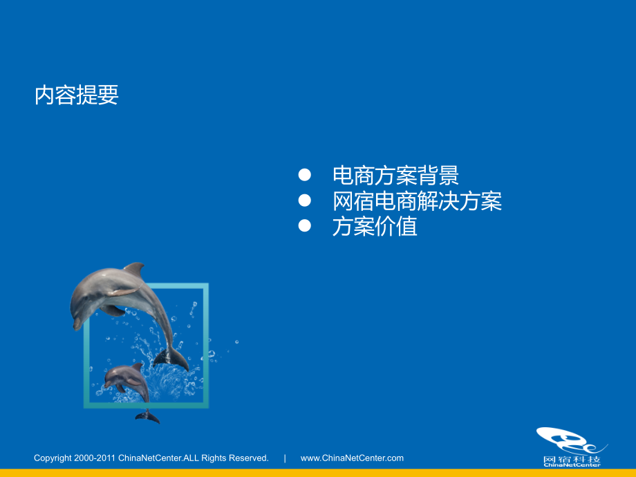 电商网站加速解决方案.pptx_第2页