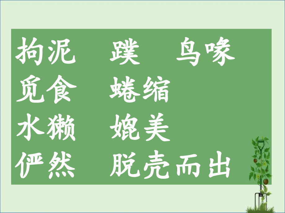 《使人伤脑筋的鸭嘴兽》.ppt_第1页