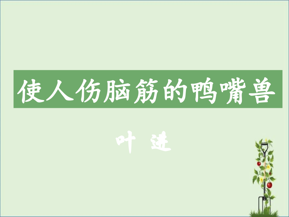 《使人伤脑筋的鸭嘴兽》.ppt_第2页