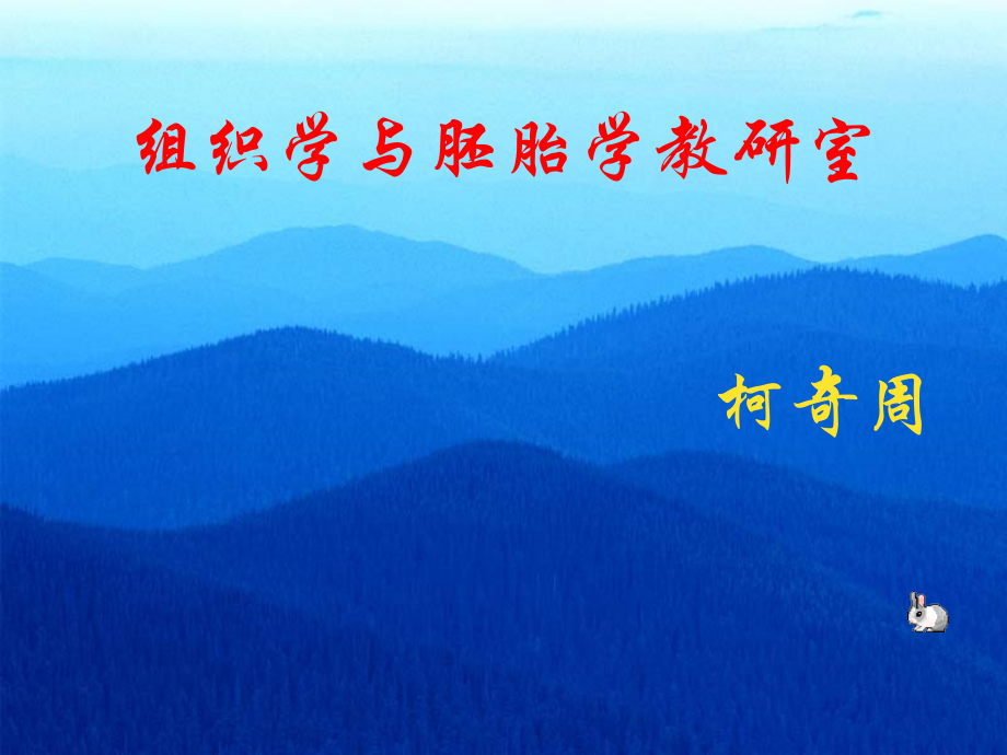 组织与胚胎学神经组织.ppt_第1页
