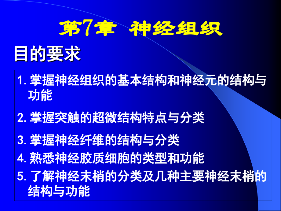组织与胚胎学神经组织.ppt_第2页