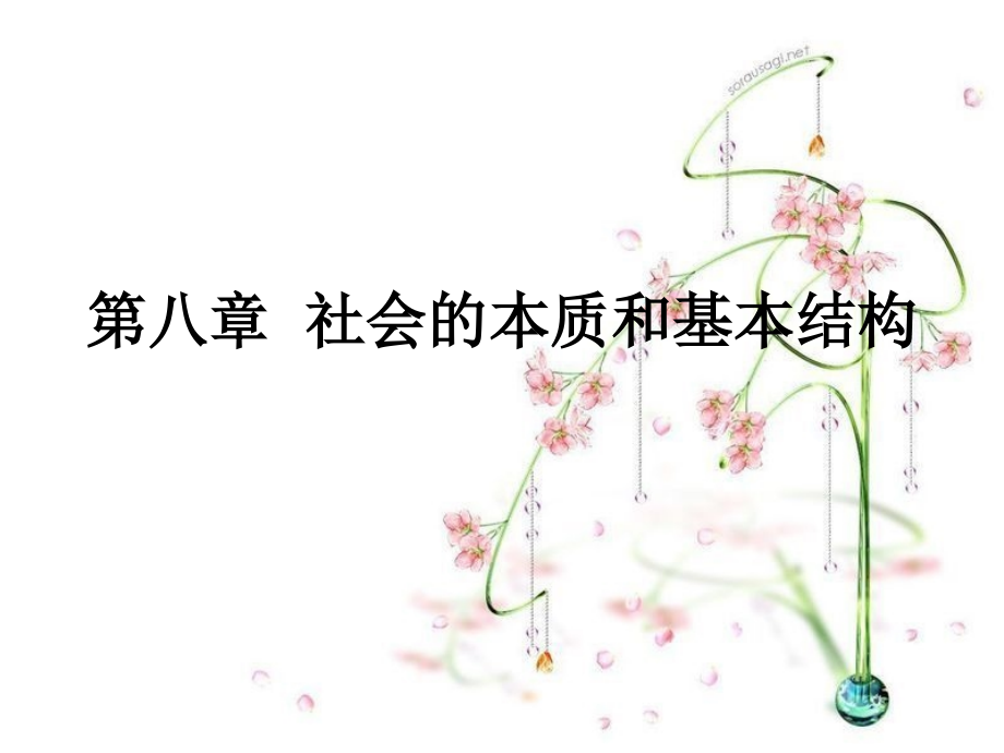 第八章社会的本质和结构.ppt_第1页