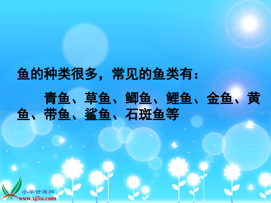 (教科版)三年级科学课件_金鱼.ppt_第2页