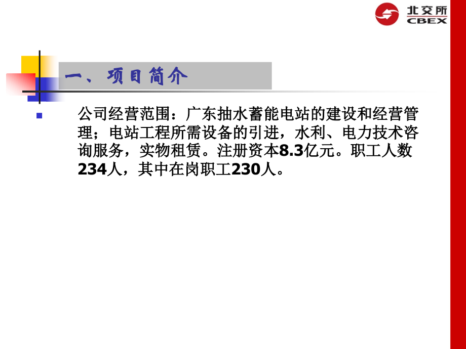 项目名称广东蓄能发电有限公司23%股权.ppt_第2页