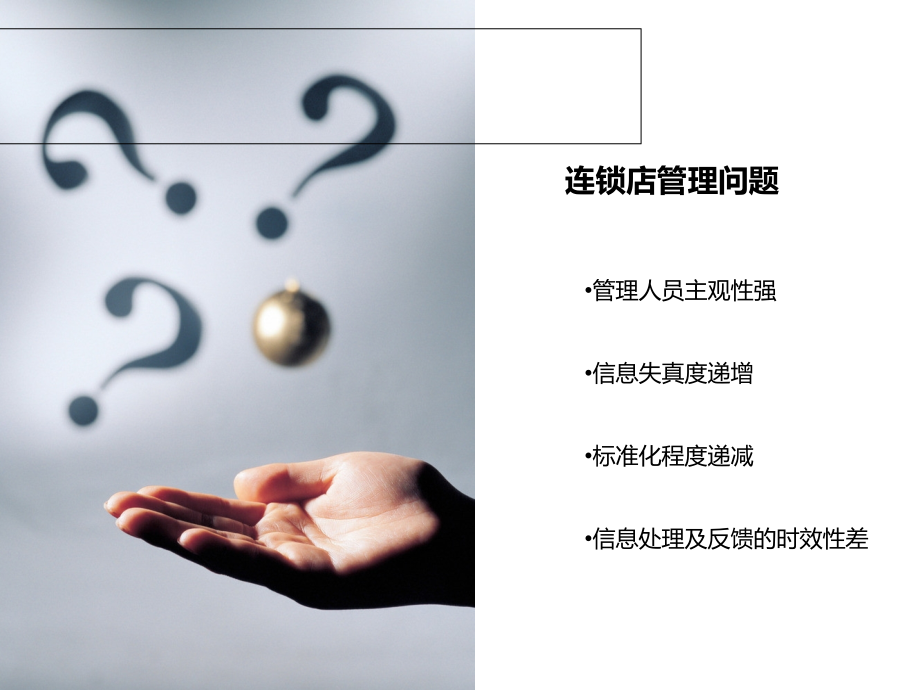 远程视频解决方案(新).ppt_第2页
