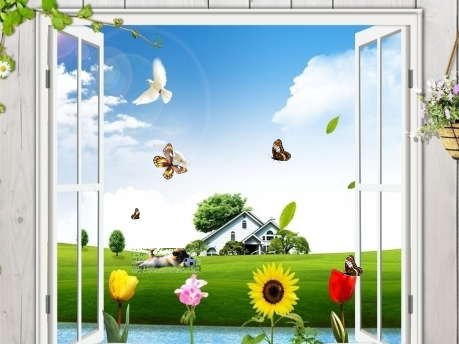 病房里的故事.ppt_第2页