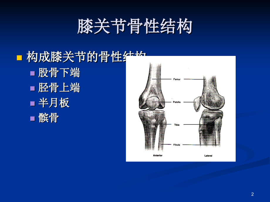 08-膝关节的应用解剖课件.ppt_第2页