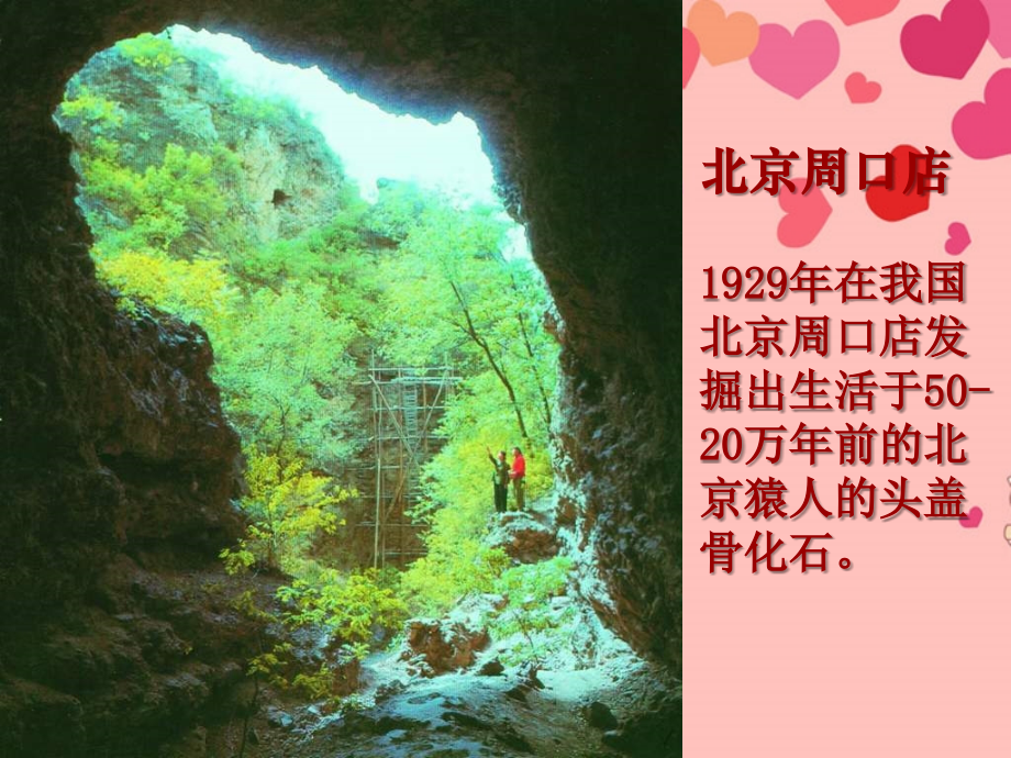 甘肃省白银市会宁县新添回民中学八年级生物下册-人类的起源和进化课件.ppt_第2页