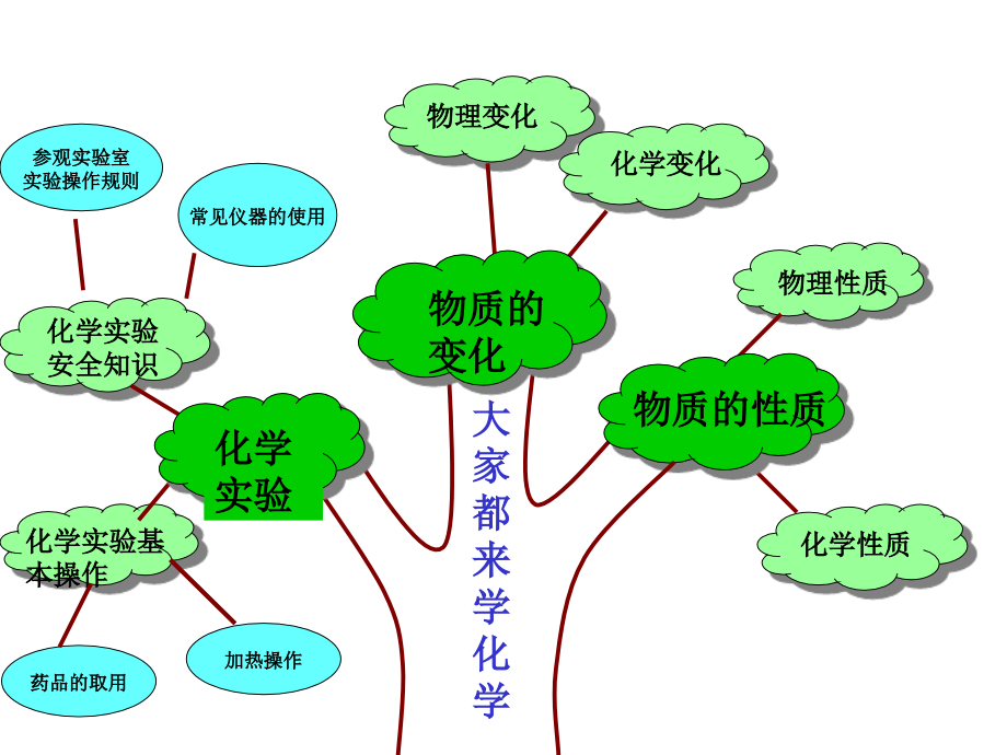 大家都来学化学知识树.ppt_第1页
