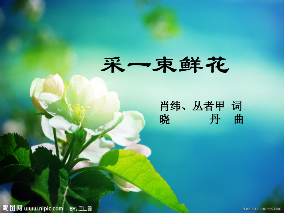 唱采一束鲜花.ppt_第2页