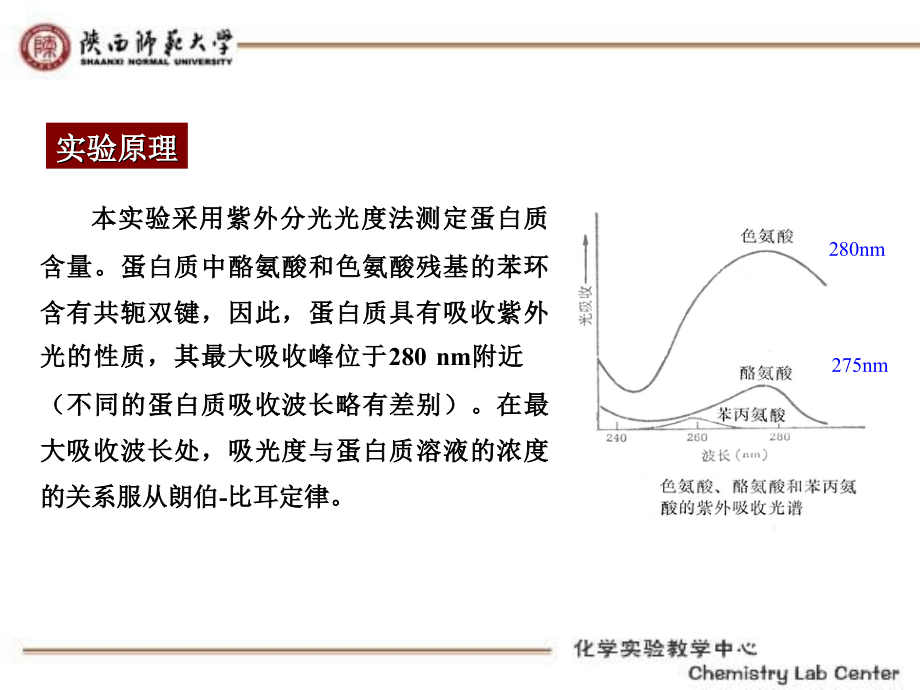 紫外分光光度法测定蛋白质含量.ppt_第2页