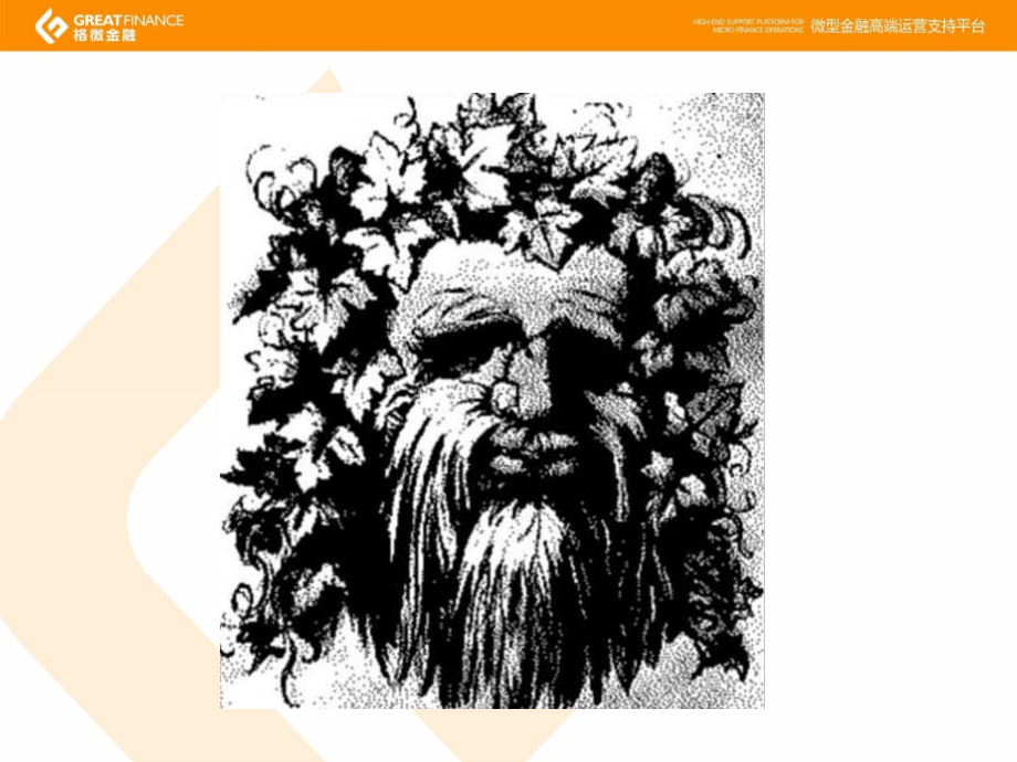 全流程的小额信贷风险管理.pptx_第2页