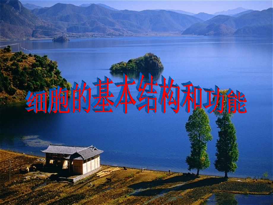 第节细胞的基本结构和功能.ppt_第1页