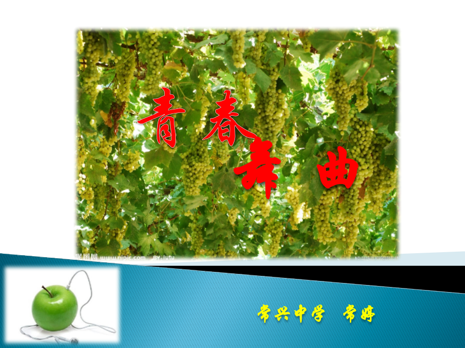 青春舞曲初中音乐教学课件PPT.pptx_第1页