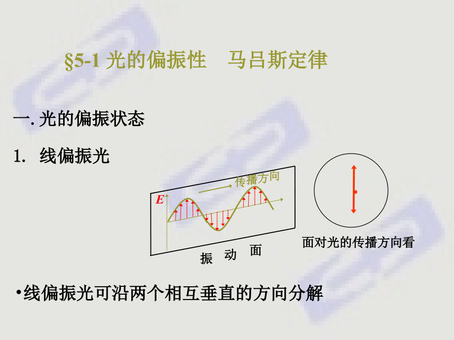 偏振与晶体双折射.ppt_第2页