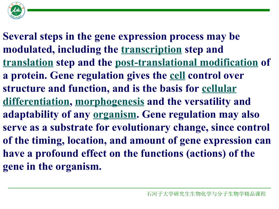 原核细胞基因表达调控机制.ppt_第1页