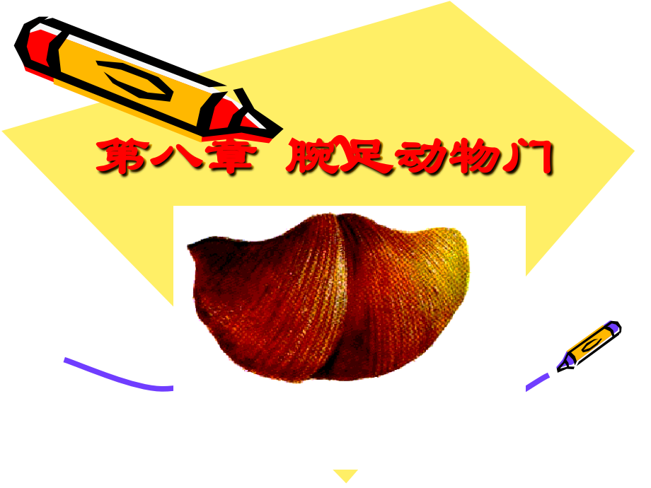 第七章 腕足动物.ppt_第1页