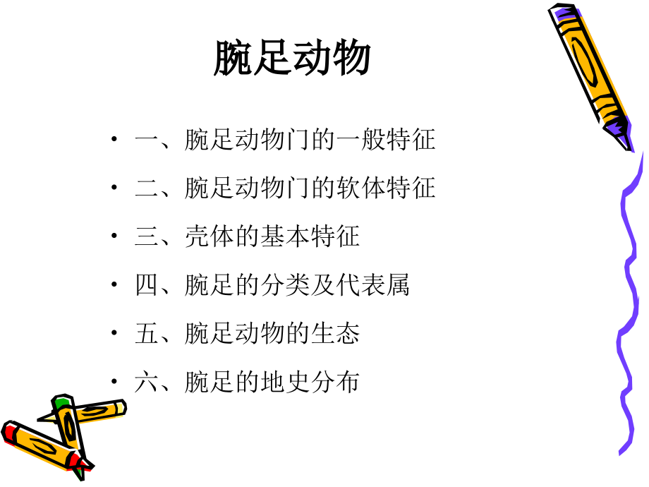 第七章 腕足动物.ppt_第2页