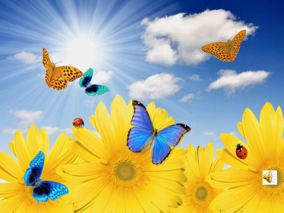 森林的歌声.ppt_第1页