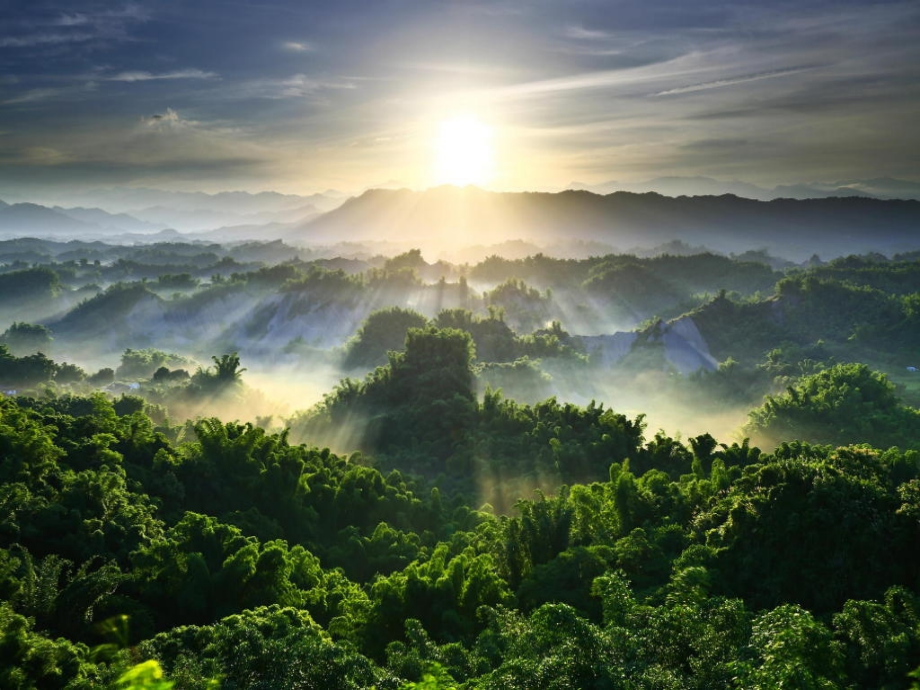 森林的歌声.ppt_第2页