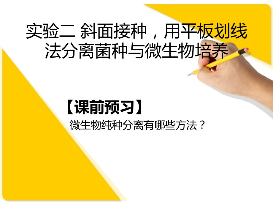 微生物实验二.ppt_第1页