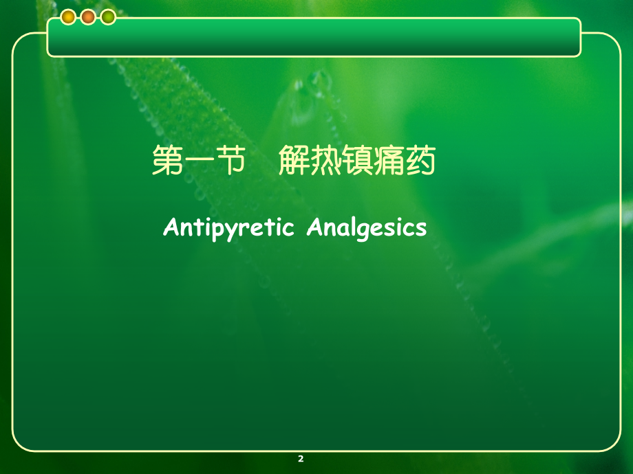 6-1解热镇痛抗炎药课件.ppt_第2页