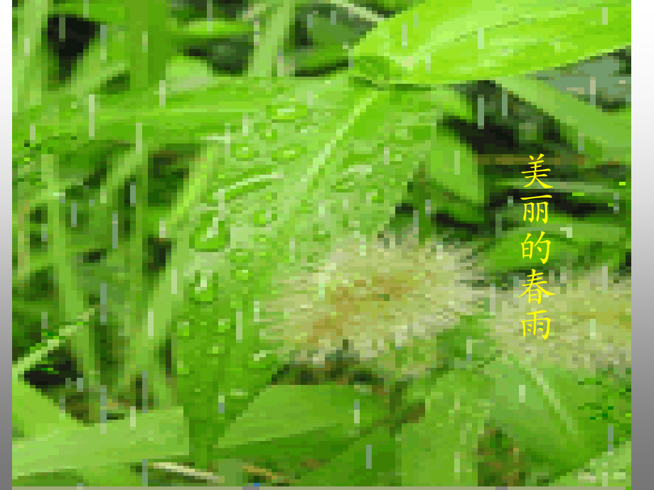三月桃花水教学课件.ppt_第2页