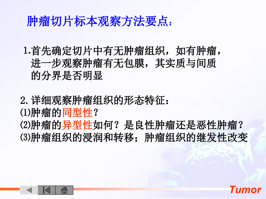 第五章 肿瘤.ppt_第1页