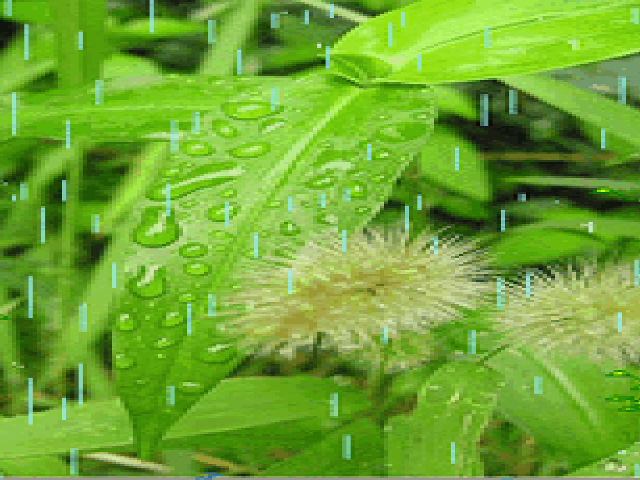 《春雨的颜色》参考课件.ppt_第2页