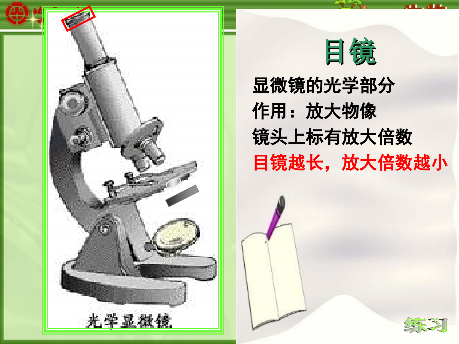 使用显微镜.ppt_第2页