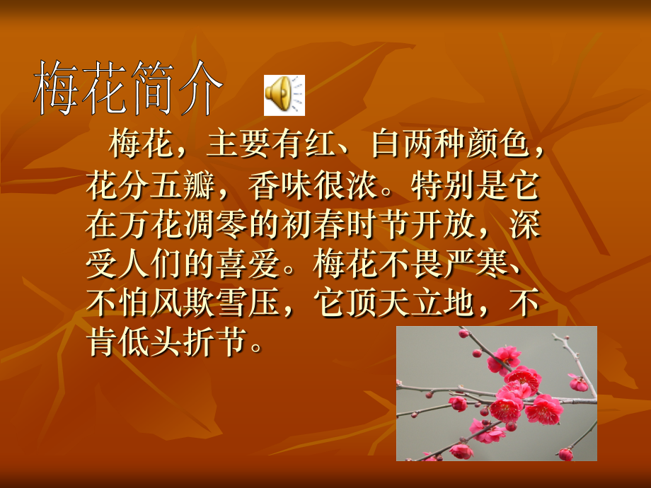 梅花魂--PPT.ppt_第1页