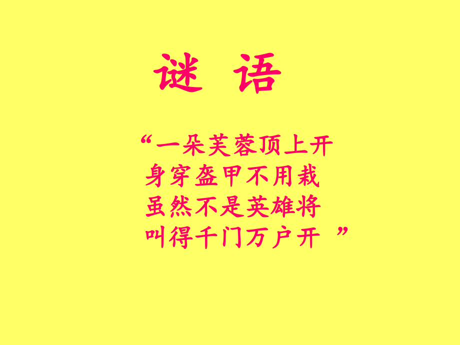 神奇的大公鸡.ppt_第1页