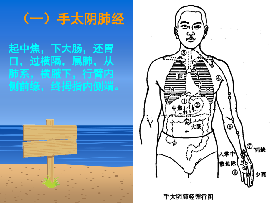 美容推拿学(4).ppt_第1页