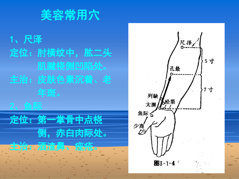 美容推拿学(4).ppt_第2页