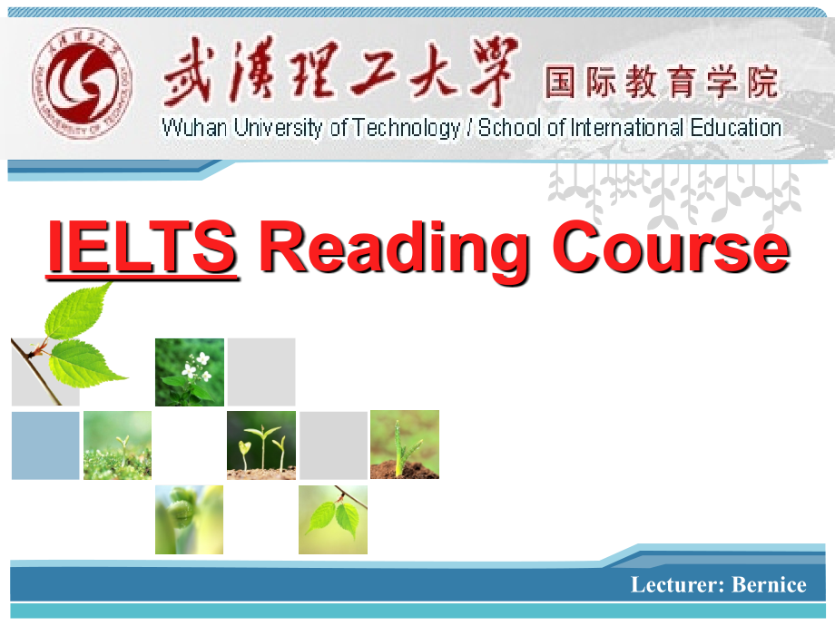 雅思阅读配对题解题小技巧.ppt_第1页