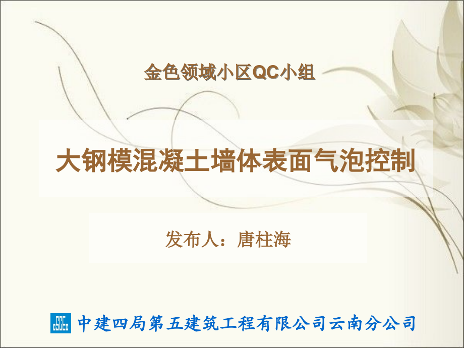 大钢模混凝土墙体表面气泡控制QC成果演示稿1.ppt_第1页