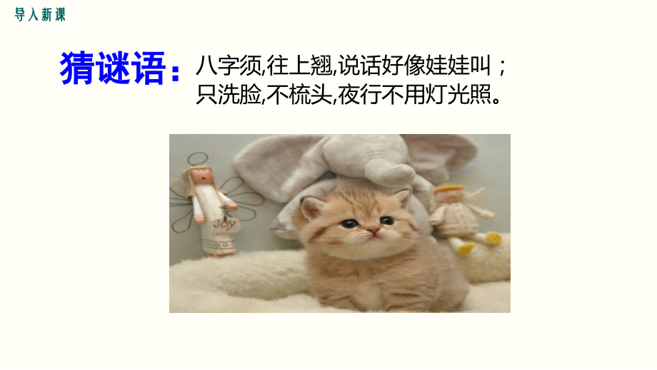 郑振铎《猫》徐艺菡.ppt_第2页