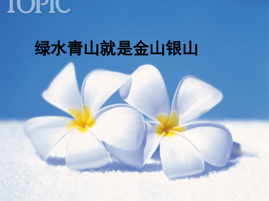 绿水青山就是金山银山.ppt_第1页
