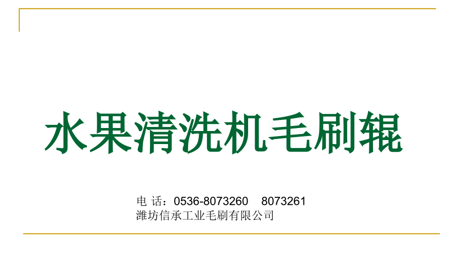 水果清洗机毛刷辊.ppt_第1页