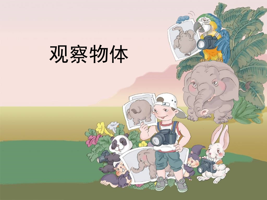 观察物体成素珍.ppt_第1页