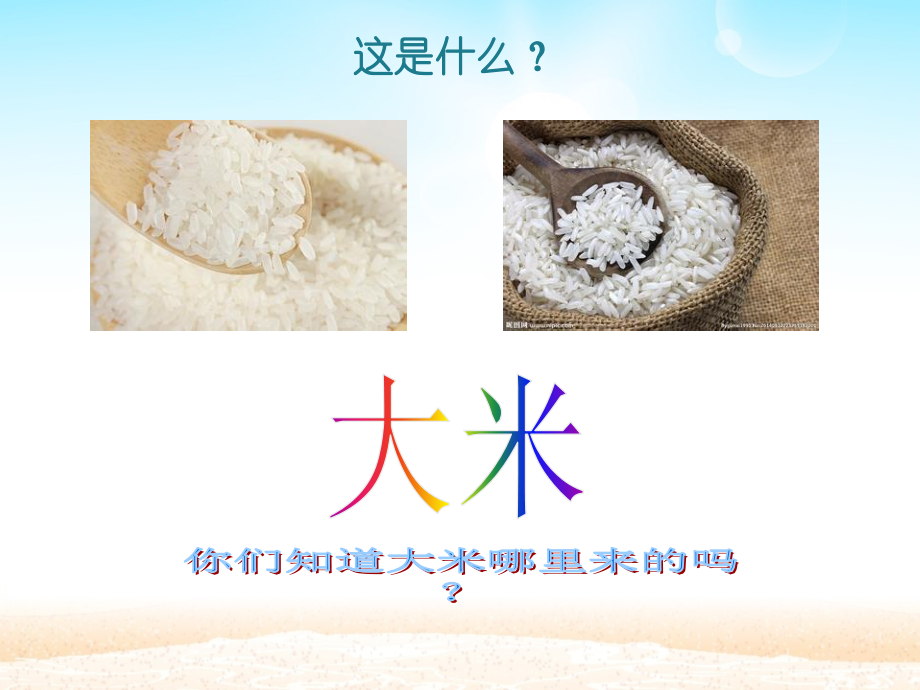 大大班科学《各种各样的米》.ppt_第2页