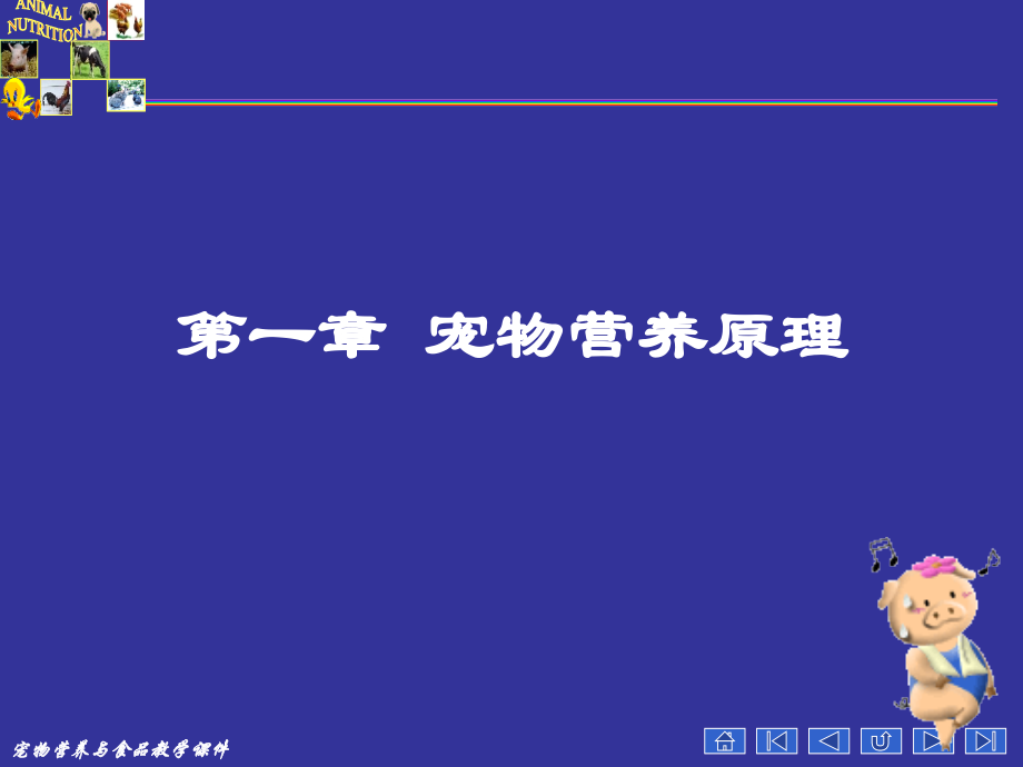 宠物营养学基本知识(能量与宠物营养).ppt_第1页