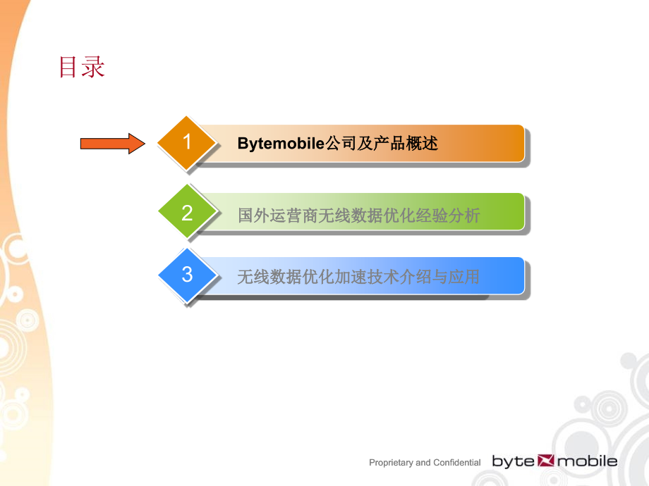 移动加速项目交流.ppt_第2页